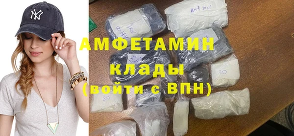 молекула духа Бородино
