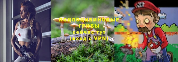 молекула духа Бородино