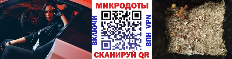 Псилоцибиновые грибы Psilocybine cubensis  Славянск-на-Кубани 